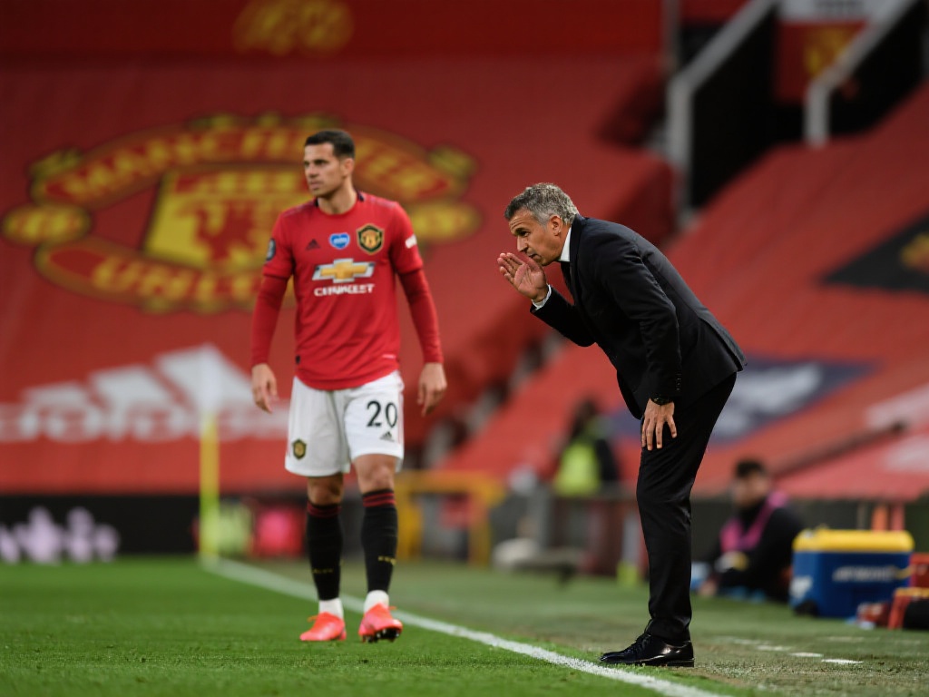 在足球的世 在足球的世